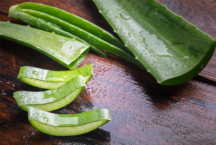 aloe vera leaf cut