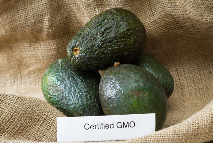 GMO labelling