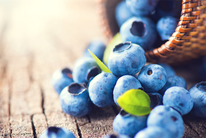 Blueberry Porridge Squares