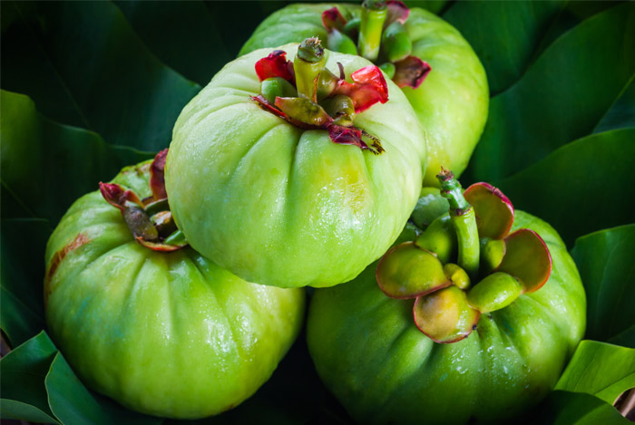Garcinia Cambogia Extract a Detailed Review (You May Be Shocked By What it Really Does...)