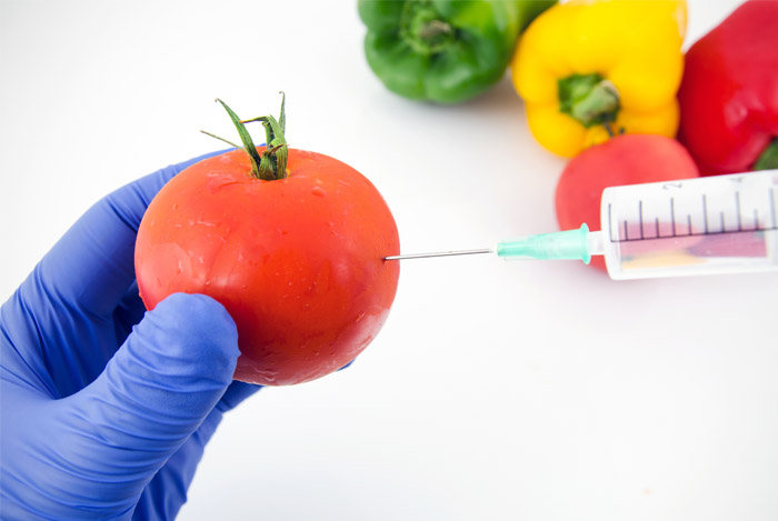 Are GMO Foods Really the Enemy?