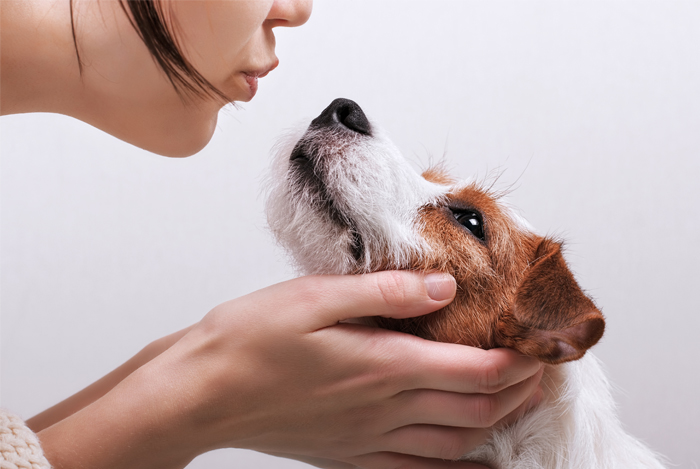 10 Human Foods That Are Healthy for Your Pets Too!