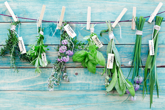 10 Herbs With Secret Benefits for Your Brain